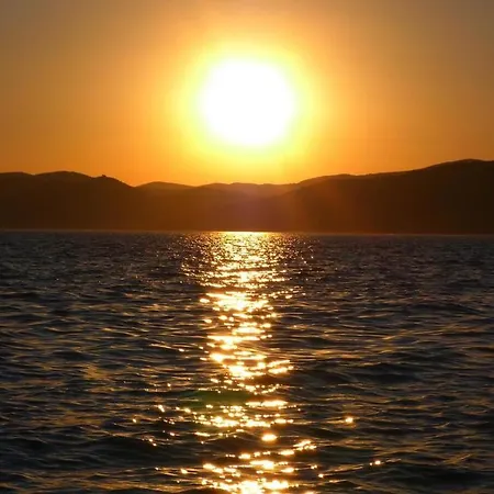Fani Trogir