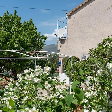 Apartament Fani Trogir